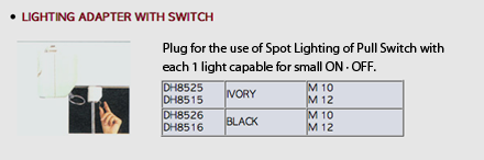 Lighting Adapter With Switch